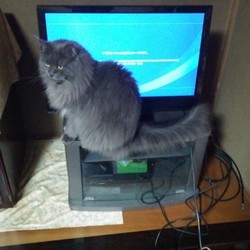 「言うは易く行うは難し」サムネイル1