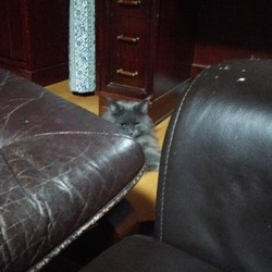 「言うは易く行うは難し」サムネイル2