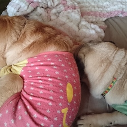 かわいすぎヤバイ！