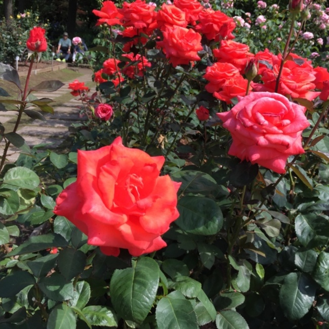 Kunihiroのカバー写真