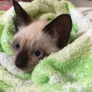 里親様 決まりました☆