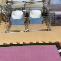 「サッスーの食事コントロール」サムネイル3