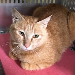 里親様が決まりました♡有難うございました！