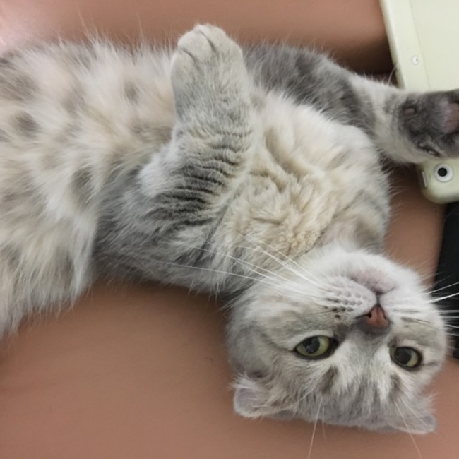 NAGISA19のカバー写真