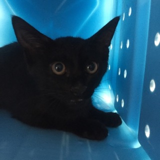 里親決定！兄弟揃って素敵なご家族に恵まれました☆