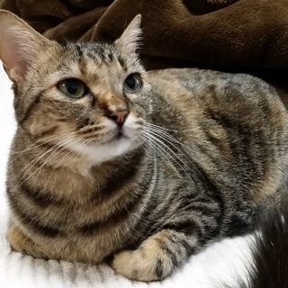 どうかこの子に幸せを