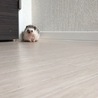カメラ目線 