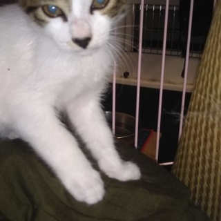 こどもの日生まれ(=ﾟωﾟ=)イソベくん