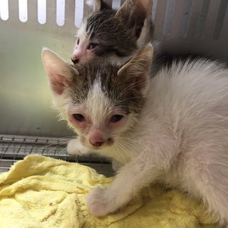 HELP！今日が期限です！延長無！