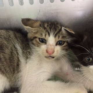 HELP！今日が期限です！延長無！