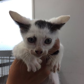 HELP！今日が期限です！延長無！