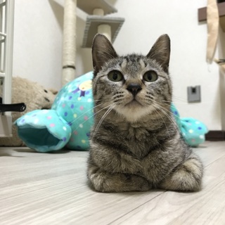 人がだーいすきな女の子♪