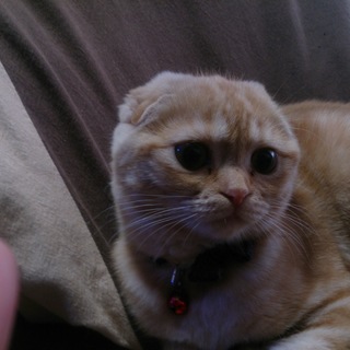 皆様、ありがとうございます。