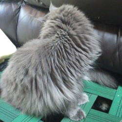 「邪魔しかしないブラック企業」サムネイル2