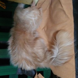 「邪魔しかしないブラック企業」サムネイル3