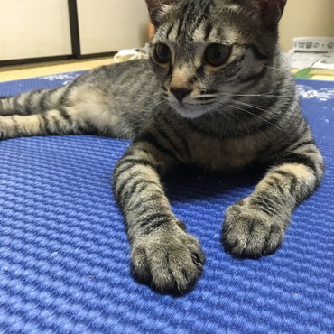 の写真