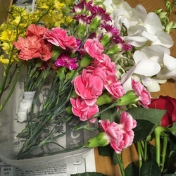 「病気で亡くなりました。」サムネイル2