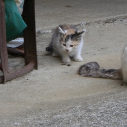 「2017年6月11日」サムネイル1