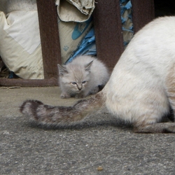 「2017年6月11日」サムネイル2