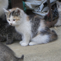 「2017年6月11日」サムネイル3