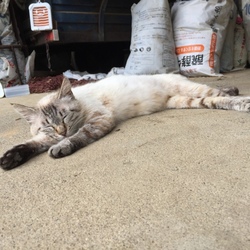 「2017年7月3日」サムネイル2