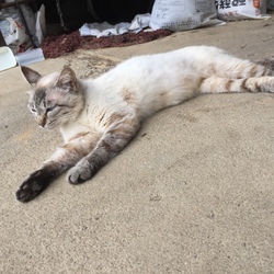 「2017年7月3日」サムネイル3