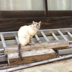 「2017年7月10日」サムネイル2