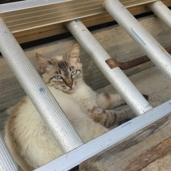 「2017年7月10日」サムネイル3