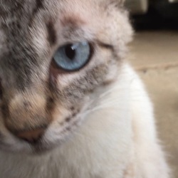 「2017年7月11日」サムネイル2