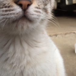 「2017年7月11日」サムネイル3