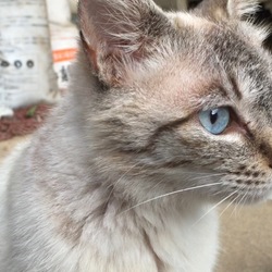 「2017年7月11日」サムネイル2