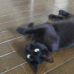 お届けしました。