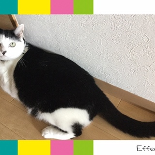 仲良し友達キュウリちゃんとシーちゃん♡♡