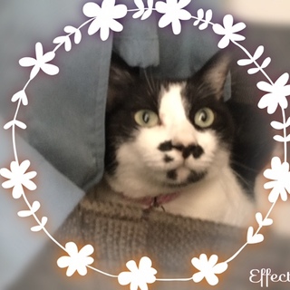 仲良し友達キュウリとシーちゃん♡♡