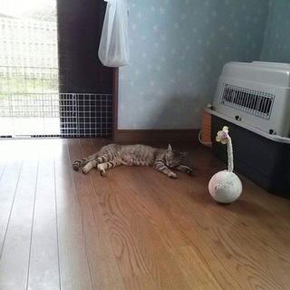 ありがとうございました