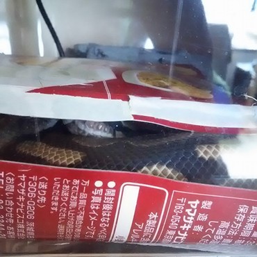 好きな箱です。