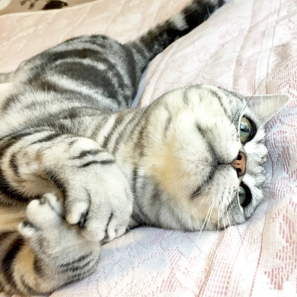 ひめのカバー写真