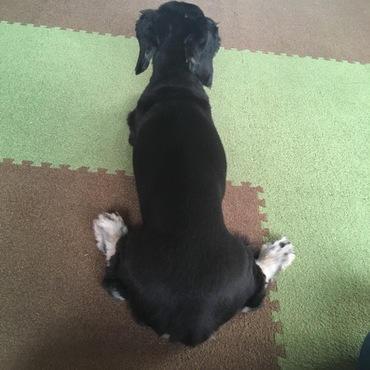 お座りの仕方。。。