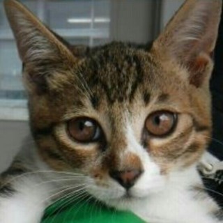 ありがとうございました！