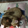 の写真