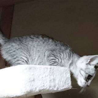 兄弟一緒に素敵な家族ができました♬