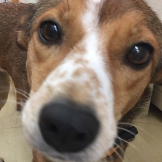 優しく物静かなマリー