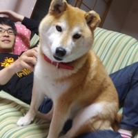 ぽちら