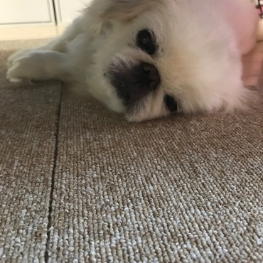 めるの写真