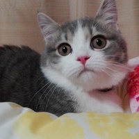 むぅ