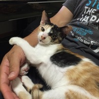 ちびらえもん