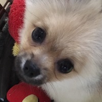 ジロマル