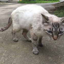 「７月２０日」サムネイル2