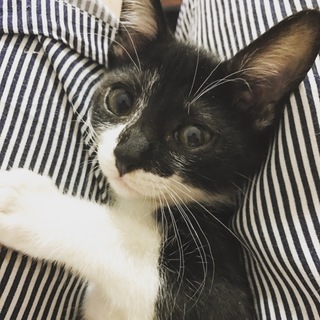 可愛いしずくちゃんは遊び大好き女の子！