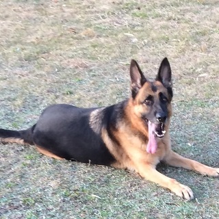 たくさん遊んであげて下さい。